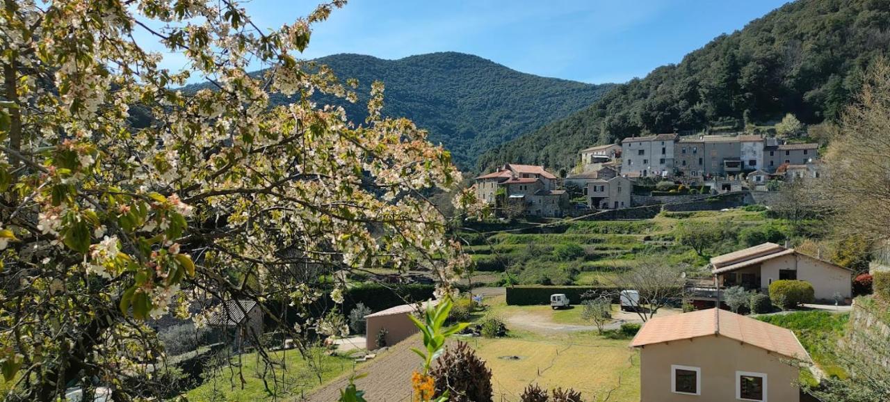 Maisonette En Cevennes Notre-Dame-de-la-Rouvière Kültér fotó